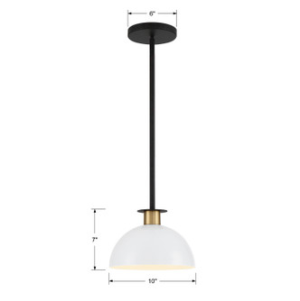 Gigi One Light Pendant (GIG-813-BK-AG)