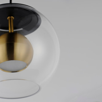 Nucleus LED Pendant (E25152-BKNAB)