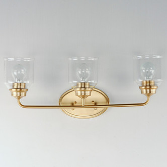 Acadia Three Light Bath Vanity (12263CDHR)