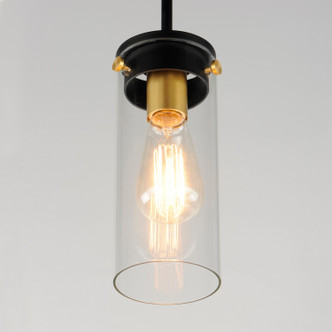 Pinn One Light Mini Pendant (12406CLBKSBR)