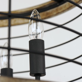 Homestead Five Light Chandelier (12515DWBK)