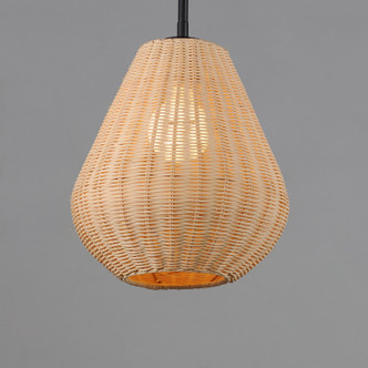 Maldives LED Pendant (12602NABK)