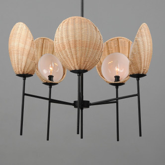 Maldives Five Light Chandelier (12605NABK)