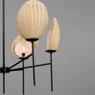 Maldives Six Light Chandelier (12606NABK)