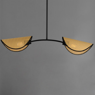 Bonnet Two Light Chandelier (12632NABK)