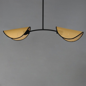 Bonnet Two Light Chandelier (12632NABK)