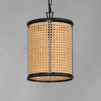 Cane One Light Pendant (14471NABK)