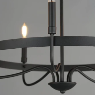 Frankie Five Light Chandelier (14495BK)