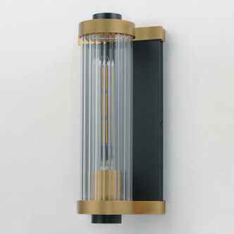 Opulent One Light Outdoor Wall Sconce (16120CRBKAB)