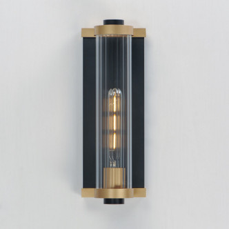 Opulent One Light Outdoor Wall Sconce (16121CRBKAB)