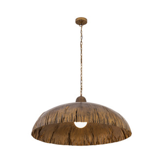 Zinnia One Light Pendant (19915-789)