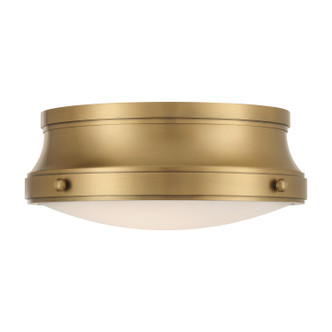 Purelight Two Light Flush Mount (3939-732)