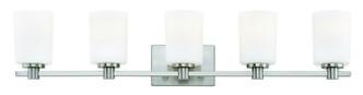 manufacturer_finish:Brushed Nickel
