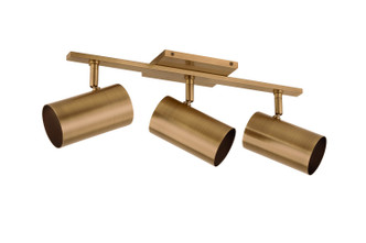 Rueben Three Light Bath (B1907-PBR)