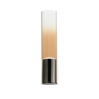 Highball LED Wall Sconce (E21180-05GM)