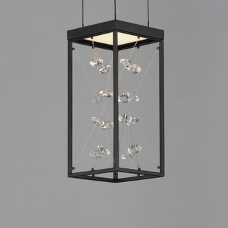 Entanglement LED Pendant (E21251-20BK)