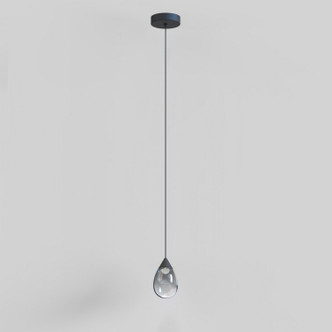 Dewdrop LED Mini Pendant (E21561-142BK)