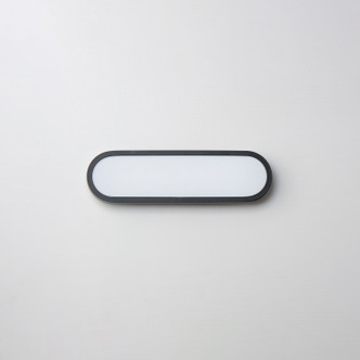 Latitude LED Bath Sconce (E23421-BK)