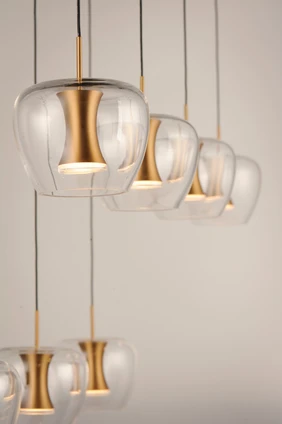 Newton LED Pendant (E24165-18BKGLD)