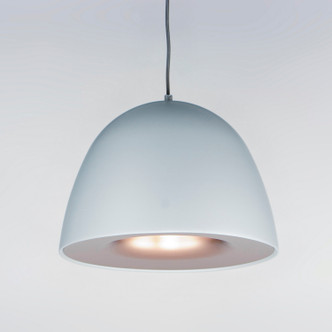 Fungo LED Pendant (E24914-DGCOF)