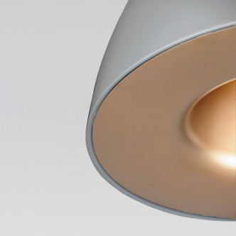 Fungo LED Pendant (E24914-DGCOF)