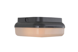 Resilience Lanterns Two Light Outdoor Flushmount (ZA6407-TB)