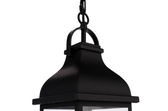 Bent Tree Two Light Outdoor Pendant (ZA7211-MN)