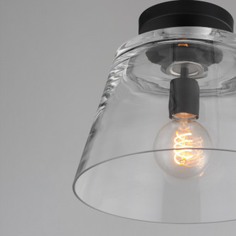 Hudson One Light Pendant (12880CLBK)