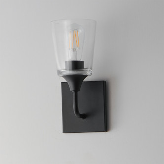 Hudson One Light Wall Sconce (12881CLBK)