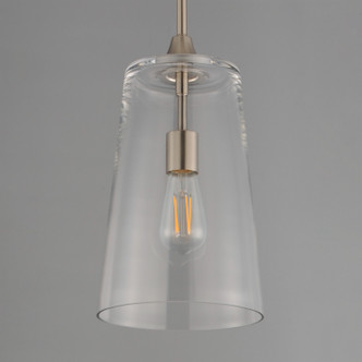 Hudson One Light Pendant (12886CLSN)