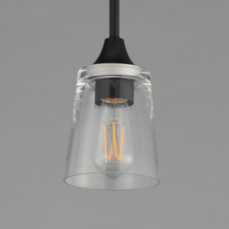 Hudson One Light Pendant (92880CLBK)