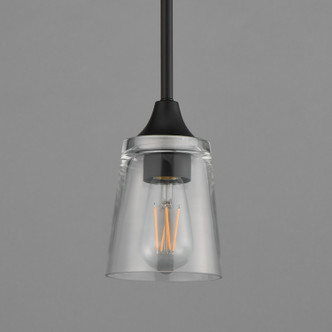 Hudson One Light Pendant (92880CLBK)