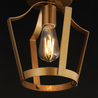 Arden One Light Pendant / Semi-Flush (10421NAB)