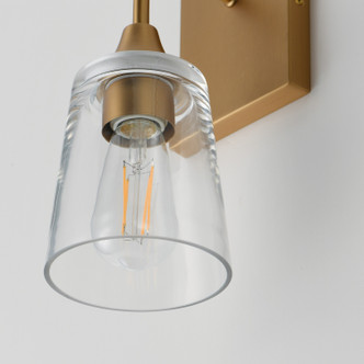Hudson One Light Wall Sconce (12881CLNAB)