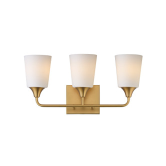 Maxim - 12883SWNAB - Three Light Bath Vanity - Hudson - Natural Aged Brass