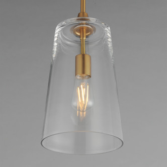 Hudson One Light Pendant (12886CLNAB)