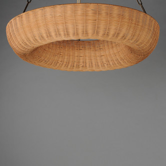 Bower Five Light Pendant (14313NANAB)