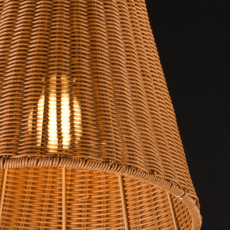 Baja One Light Pendant (21486NADBZ)