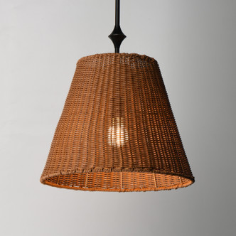 Baja One Light Pendant (21487NADBZ)