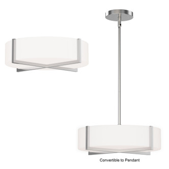 Dexter LED Flush Mount/ Pendant Convertible (57945WTSN)