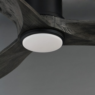 Woodwind 52" Ceiling Fan (88830WTBKGWD)