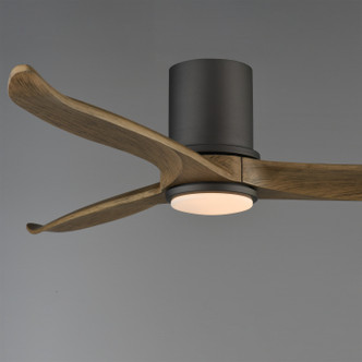 Woodwind 52" Ceiling Fan (88830WTCHL)