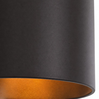 Cannery One Light Pendant (323M01DBFG)