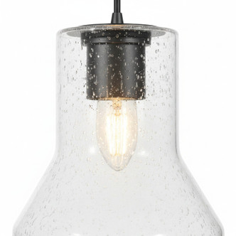 Alicia One Light Pendant (580M01BLK)