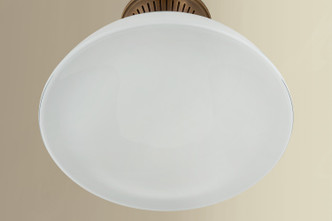 Bruceville One Light Flush Mount (4917-HB)