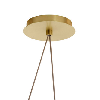 Berkley LED Chandelier (DLC60)