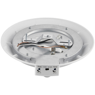 Ace MS LED Flush Mount (20991LEDDMSCS-WH/ACR)