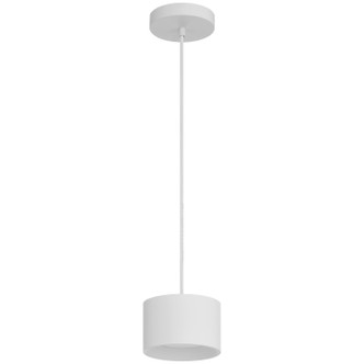 Bongo LED Pendant (29300LEDDCS-WH/ACR)