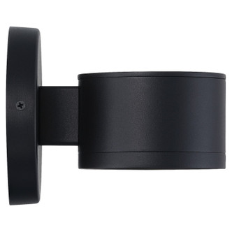 Ari Bare LED Outdoor Wall Mount (23030LEDDMG-BL/FST)