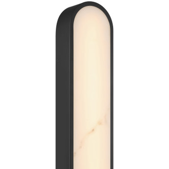 Sydney LED Wall Sconce (61113LEDDCS-BL/ALB)